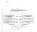 Fig. 08 - Methods, devices and systems for parallel video encoding and decoding
