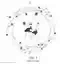 Fig. 02 - SYSTEM AND METHOD FOR LOCATION ASSURANCE OF A MOBILE DEVICE