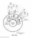 Fig. 13 - Architecture, devices and methods for supporting multiple channels in a wireless system