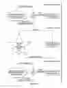 Fig. 33 - Self-learning, adaptive approach for intelligent analytics-assisted self-organizing-networks (SONs)