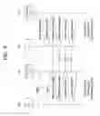 Fig. 05 - Method and device for receiving data unit