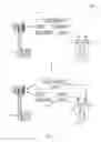 Fig. 04 - Transmit antenna diversity scheme