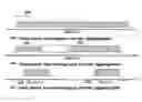 Fig. 01 - LTE operation in small cells using dynamic shared spectrum