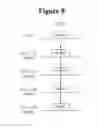 Fig. 09 - Method and apparatus for transmitting data frame in WLAN system
