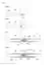 Fig. 07 - Sheath structure assembly coupling method