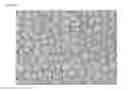 Fig. 11 - Heating element and manufacturing method thereof