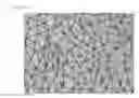 Fig. 15 - Heating element and manufacturing method thereof