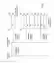 Fig. 04 - Time synchronization of lighting services