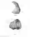 Fig. 15 - Cost effective cartridge for a plasma arc torch