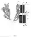 Fig. 04 - ROTARY BRUSH HARVESTERS AND METHODS OF USING THE SAME