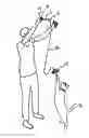 Fig. 01 - Impact action cat toy