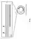 Fig. 14 - Genetically modified cells, tissues, and organs for treating disease