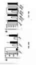 Fig. 47 - Genetically modified cells, tissues, and organs for treating disease