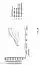 Fig. 56 - Genetically modified cells, tissues, and organs for treating disease
