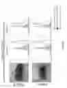 Fig. 65 - Genetically modified cells, tissues, and organs for treating disease