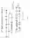 Fig. 18 - Animal models and therapeutic molecules