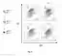 Fig. 54 - Animal models and therapeutic molecules