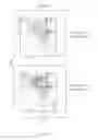 Fig. 74 - Animal models and therapeutic molecules