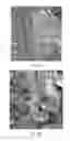 Fig. 07 - NATURAL BIOHERBICIDES AND RELATED MATERIALS AND METHODS