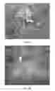 Fig. 10 - NATURAL BIOHERBICIDES AND RELATED MATERIALS AND METHODS