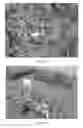 Fig. 12 - NATURAL BIOHERBICIDES AND RELATED MATERIALS AND METHODS