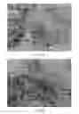 Fig. 16 - NATURAL BIOHERBICIDES AND RELATED MATERIALS AND METHODS