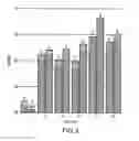 Fig. 03 - Method for increasing milk production by ruminants