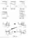 Fig. 08 - System and method for dispensing toppings