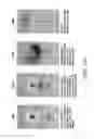 Fig. 40 - Infant calming/sleep-aid, SIDS prevention device, and method of use