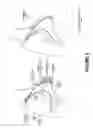 Fig. 04 - MEDICAL BRA HAVING EXTRA BASE SUPPORT