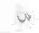 Fig. 01 - Breast support structure