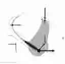 Fig. 02 - Breast support structure