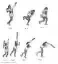 Fig. 09 - Athletic warmer apparel