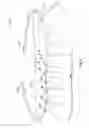 Fig. 02 - Adjustable Childs Skirt System