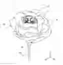 Fig. 01 - PRESERVED FLOWER ARRANGEMENT AND METHOD FOR PRODUCING THE SAME