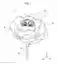 Fig. 02 - PRESERVED FLOWER ARRANGEMENT AND METHOD FOR PRODUCING THE SAME