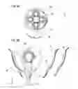 Fig. 10 - PRESERVED FLOWER ARRANGEMENT AND METHOD FOR PRODUCING THE SAME