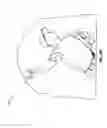Fig. 05 - Sublimation printed clothing articles