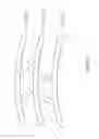 Fig. 06 - Biomechanics aware helmet