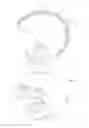 Fig. 01 - Biomechanics aware headgear
