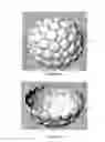 Fig. 06 - PROTECTIVE HEADWEAR