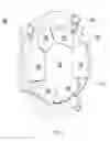 Fig. 02 - Helmet padding system