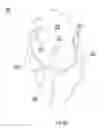 Fig. 13 - Helmet padding system
