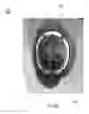Fig. 22 - Helmet padding system