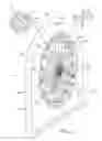 Fig. 06 - Last system for braiding footwear
