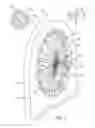 Fig. 07 - Last system for braiding footwear