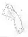 Fig. 02 - BASE FOR A SKI BOOT AND SKI BOOT INCORPORATING SUCH A BASE