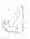 Fig. 06 - BASE FOR A SKI BOOT AND SKI BOOT INCORPORATING SUCH A BASE
