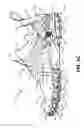 Fig. 04 - Articles of footwear