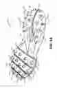 Fig. 09 - Articles of footwear